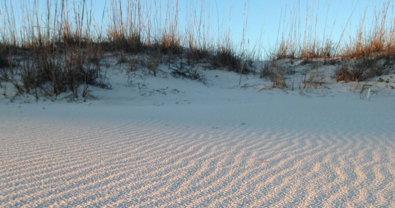 peaceful sand
